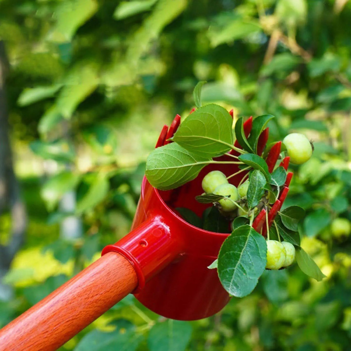 Portable Fruit Picker Easy to Use Practical Picking Device for Farm Park Efficient Picking Tool Portable Premium