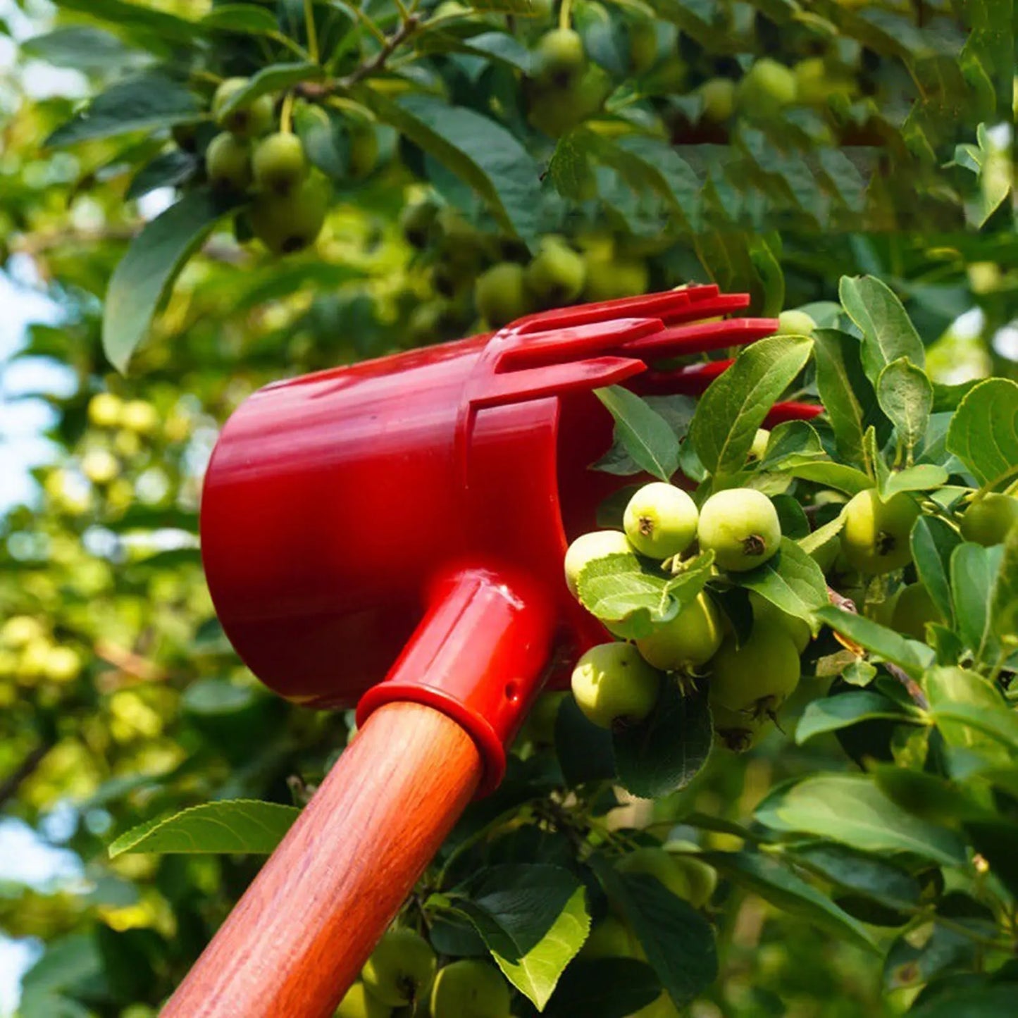 Portable Fruit Picker Easy to Use Practical Picking Device for Farm Park Efficient Picking Tool Portable Premium