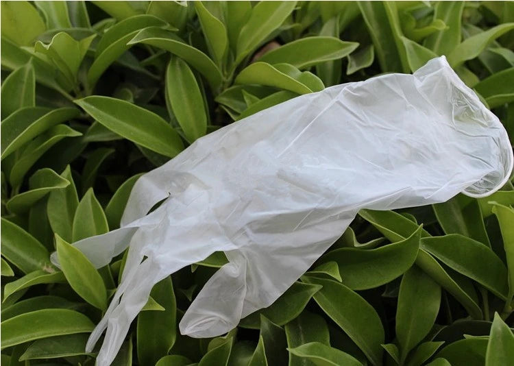 100 Pcs/Box Disposable Vinyl Gloves For Housework Cleaning Kitchen Backing BBQ Multifuction Transparent Free Powd PVC Gloves