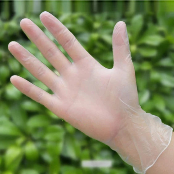 100 Pcs/Box Disposable Vinyl Gloves For Housework Cleaning Kitchen Backing BBQ Multifuction Transparent Free Powd PVC Gloves