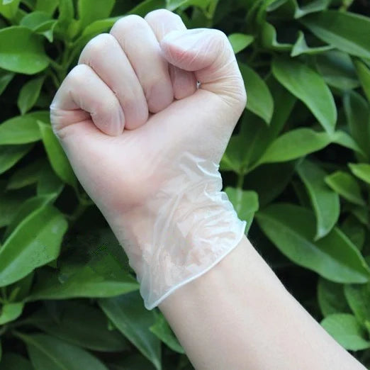 100 Pcs/Box Disposable Vinyl Gloves For Housework Cleaning Kitchen Backing BBQ Multifuction Transparent Free Powd PVC Gloves