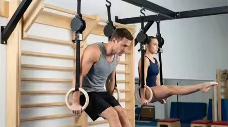 Birch Fitness Rings High Load-Bearing Adjustable Home Gymnastics Exercise Equipment Stamping Pull up Rings Wooden