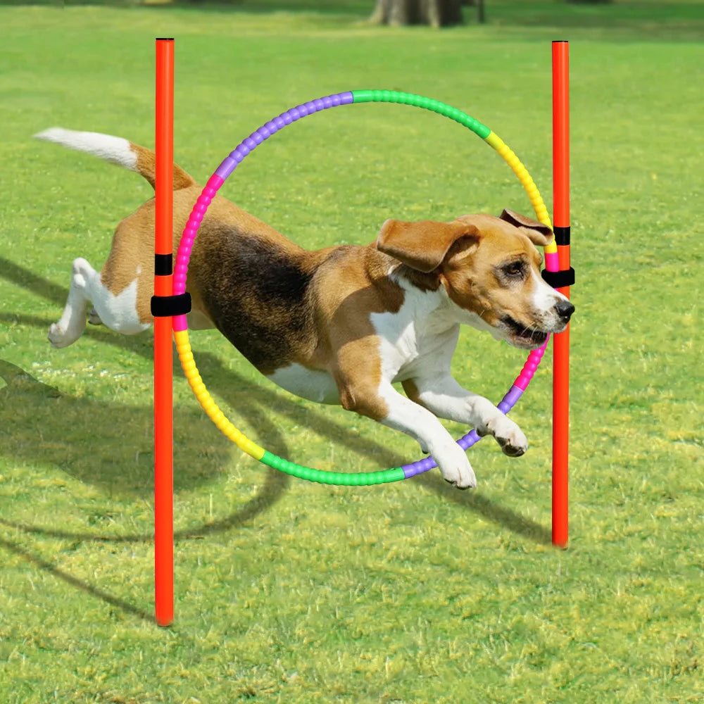 Dog Agility Training Equipment Portable Dog Jumping Tool Outdoor Dogs Running Stake Sports Stakes Pole Pet Agility Equipment Set