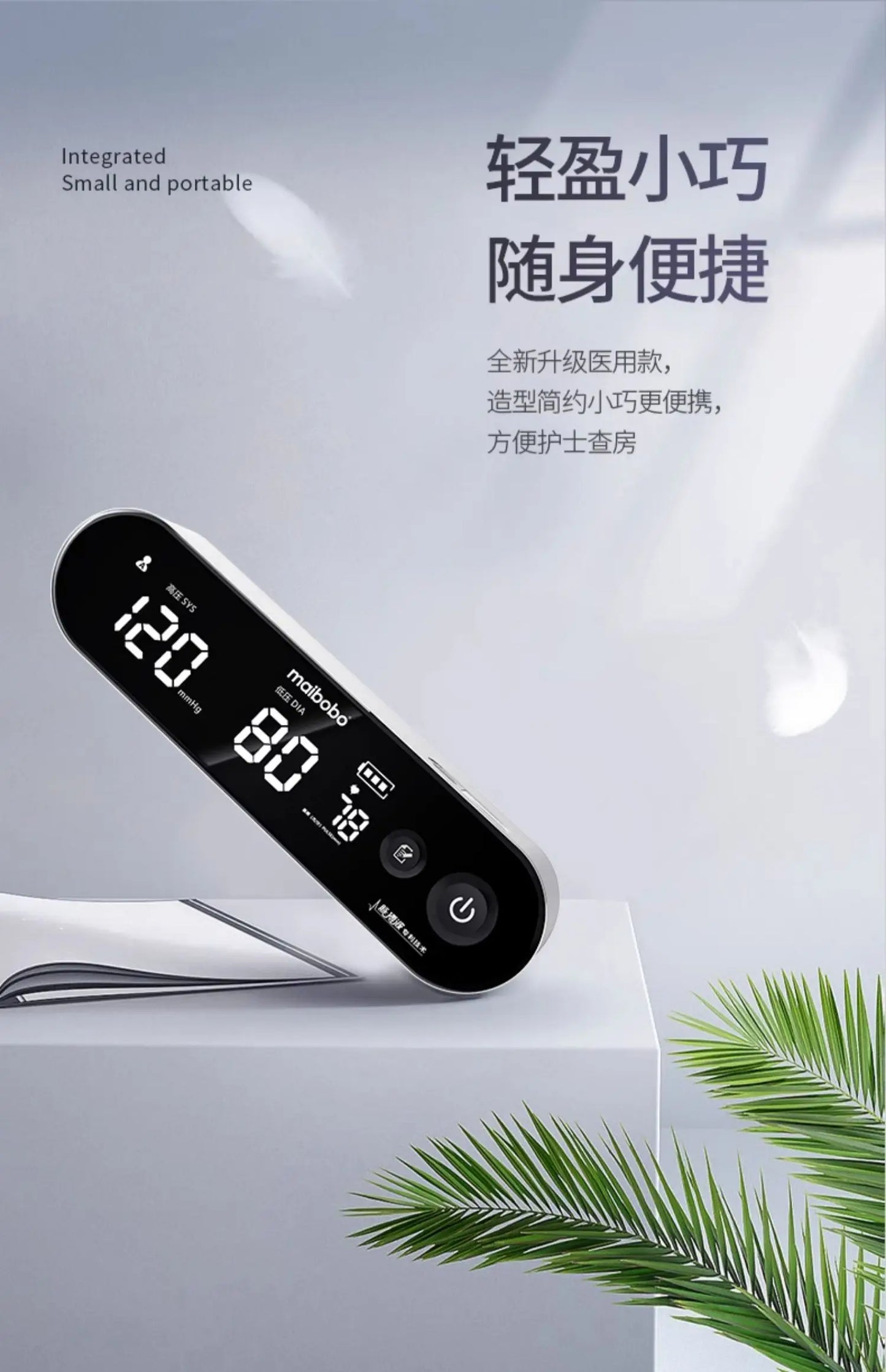 Household measuring instrument