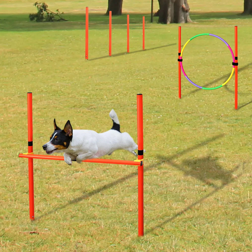Dog Agility Training Equipment Portable Dog Jumping Tool Outdoor Dogs Running Stake Sports Stakes Pole Pet Agility Equipment Set