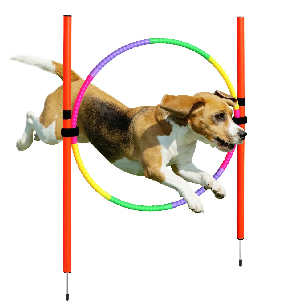Dog Agility Training Equipment Portable Dog Jumping Tool Outdoor Dogs Running Stake Sports Stakes Pole Pet Agility Equipment Set