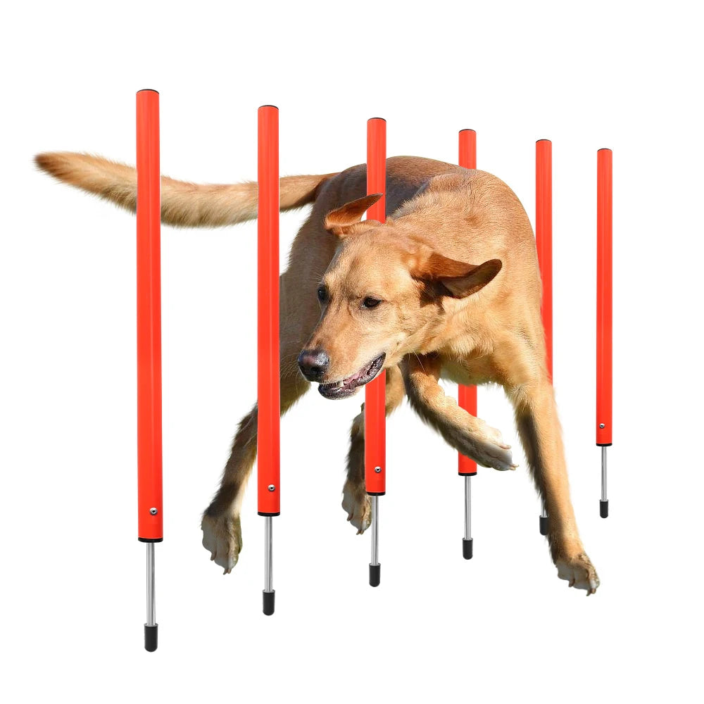Dog Agility Training Equipment Portable Dog Jumping Tool Outdoor Dogs Running Stake Sports Stakes Pole Pet Agility Equipment Set
