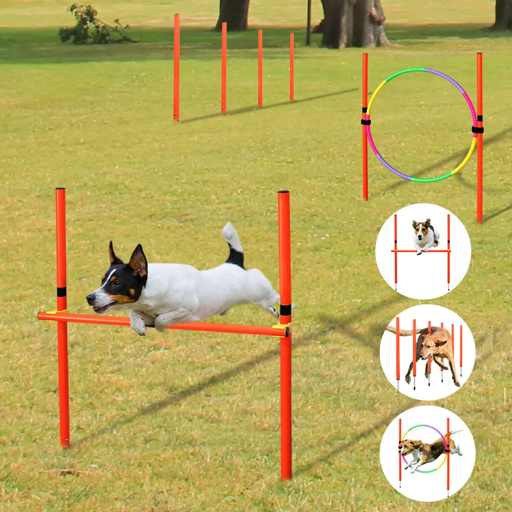 Dog Agility Training Equipment Portable Dog Jumping Tool Outdoor Dogs Running Stake Sports Stakes Pole Pet Agility Equipment Set